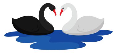 Çift kuğu, illüstrasyon, beyaz arkaplanda vektör