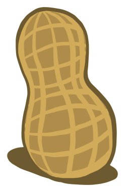 Küçük fıstık, illüstrasyon, beyaz arkaplanda vektör