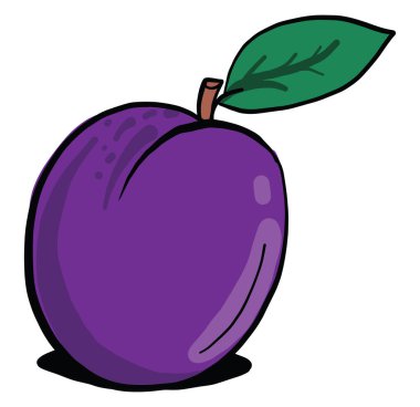 Saplı mor erik, illüstrasyon, beyaz arkaplanda vektör