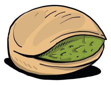 İlginç şam fıstığı, illüstrasyon, beyaz arka planda vektör