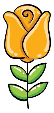 Sarı gül, illüstrasyon, beyaz arkaplanda vektör