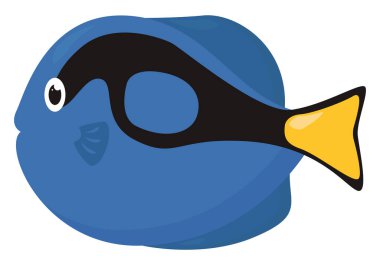 Güzel mavi balık, illüstrasyon, beyaz arkaplanda vektör