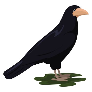 Siyah kale, illüstrasyon, beyaz arkaplanda vektör