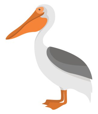 Üzücü pelikan, illüstrasyon, beyaz arkaplanda vektör