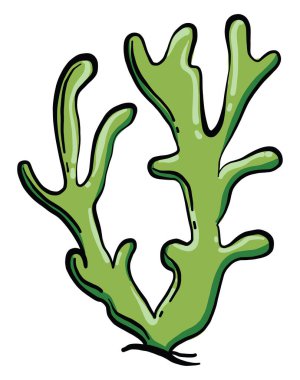 Yeşil mercan, illüstrasyon, beyaz arkaplanda vektör