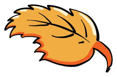 Turuncu yaprak, illüstrasyon, beyaz arkaplan üzerindeki vektör