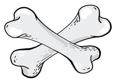 Beyaz arka planda iki beyaz kemik, illüstrasyon, vektör.