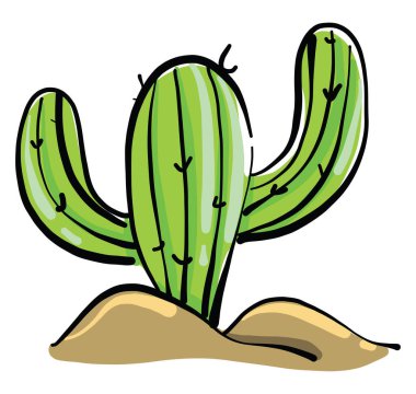 Kum kaktüsü, illüstrasyon, beyaz arkaplan üzerindeki vektör.