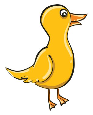 Küçük civciv, illüstrasyon, beyaz arka plan vektörü.