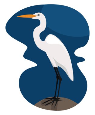 Beyaz balıkçıl, illüstrasyon, beyaz arkaplan üzerindeki vektör.