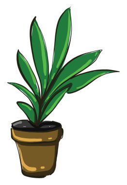 Yeşil ev bitkisi, illüstrasyon, beyaz arkaplanda vektör.