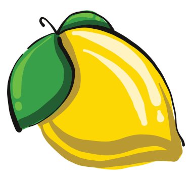 Yapraklı limon, illüstrasyon, beyaz arkaplanda vektör.