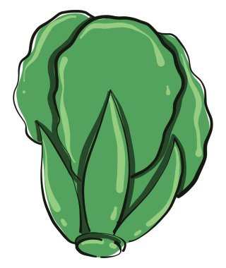 Yeşil salata, illüstrasyon, beyaz arkaplanda vektör.