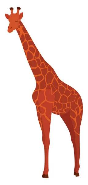 Wysoka Żyrafa Ilustracja Wektor Białym Tle — Wektor stockowy