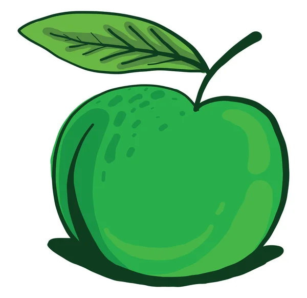 Зелене Яблуко Ілюстрація Вектор Білому Тлі — стоковий вектор