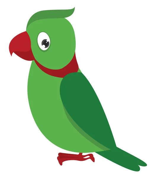 Groene Papegaai Illustratie Vector Witte Achtergrond — Stockvector