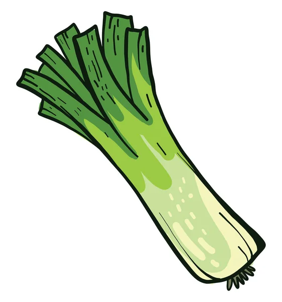 Green Leek Illustration Vector White Background — 스톡 벡터