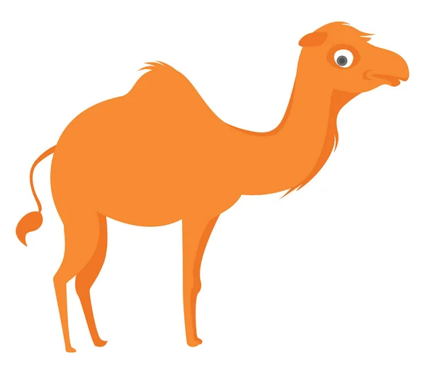 Orange Kamel Illustration Vektor Vit Bakgrund — Stock vektor