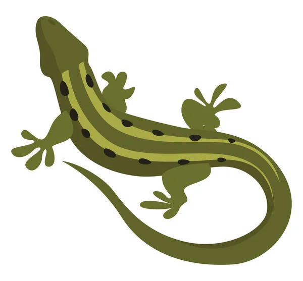 Зеленая Ящерица Иллюстрация Вектор Белом Фоне — стоковый вектор