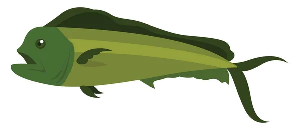 Green Long Fish Illustration Vector White Background — Stock Vector