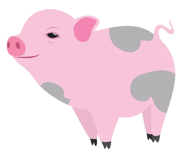 Mini Cerdo Lindo Ilustración Vector Sobre Fondo Blanco — Vector de stock
