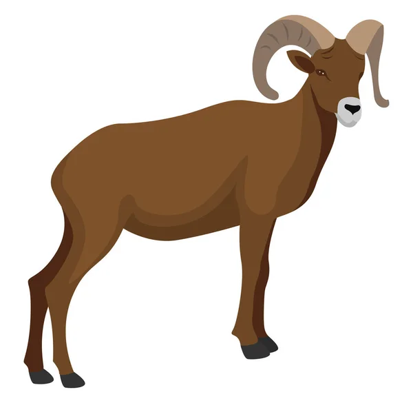 Mouflon Animal Ilustración Vector Sobre Fondo Blanco — Vector de stock