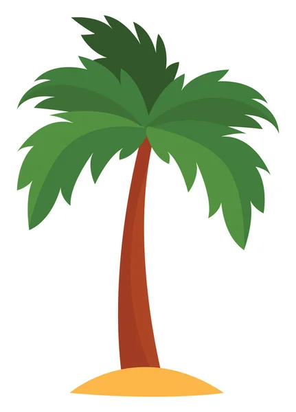 Lange Palmboom Illustratie Vector Witte Achtergrond — Stockvector