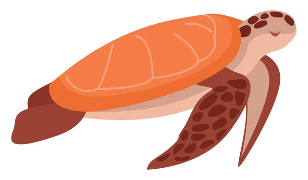Havssköldpadda Illustration Vektor Vit Bakgrund — Stock vektor
