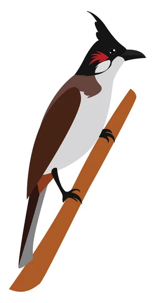 Kleine Zangvogel Illustratie Vector Witte Achtergrond — Stockvector