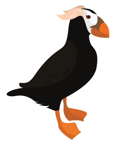 Tufted Puffin Ilustrace Vektor Bílém Pozadí — Stockový vektor