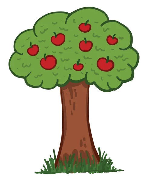 Jablečný Strom Ilustrace Vektor Bílém Pozadí — Stockový vektor
