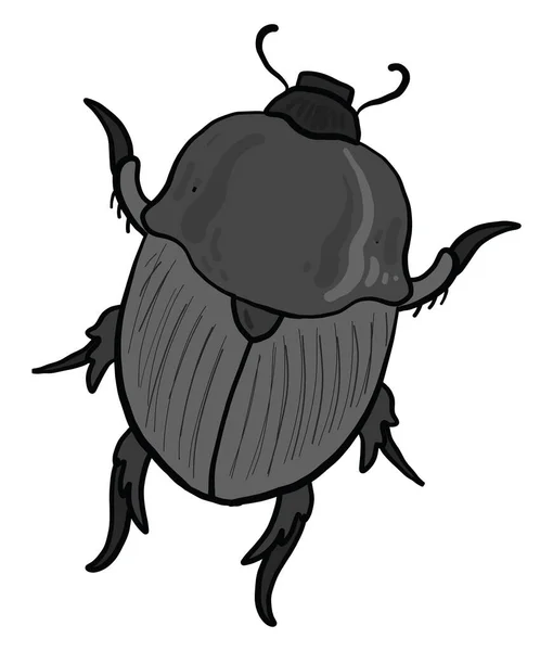 Gray Beetle Illustration Vector White Background — Stock Vector