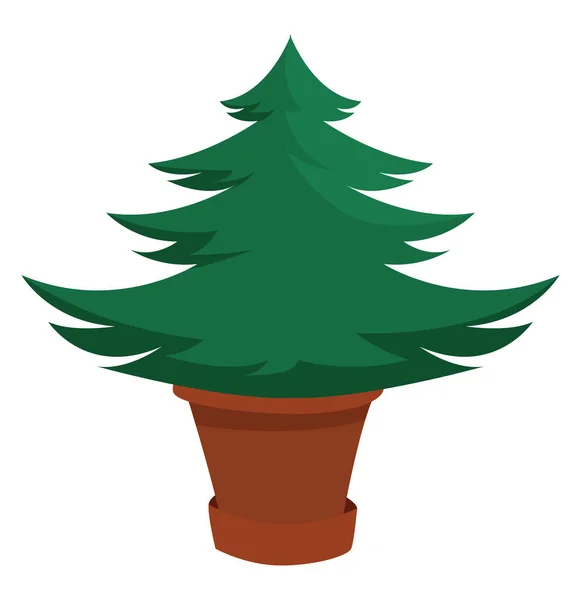 Green Spruce Illustration Vector White Background — Stock Vector