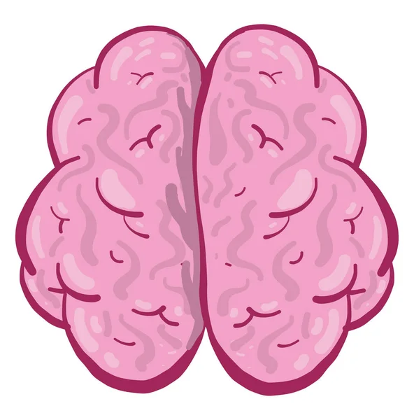 Cervello Rosa Illustrazione Vettore Sfondo Bianco — Vettoriale Stock