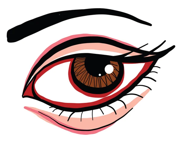 Yeux Marron Illustration Vecteur Sur Fond Blanc — Image vectorielle