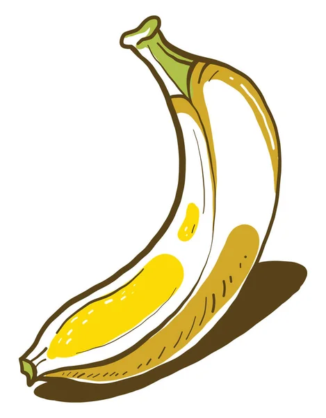 Banana Pequena Ilustração Vetor Sobre Fundo Branco — Vetor de Stock