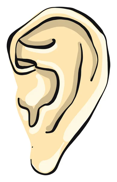 小さな耳 イラスト 白い背景のベクトル — ストックベクタ