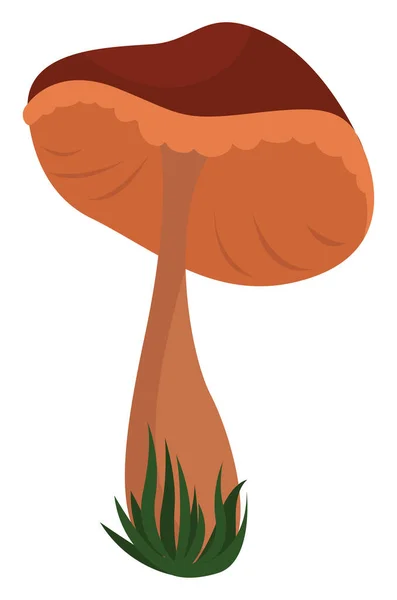 单蘑菇 白色背景上的载体 — 图库矢量图片