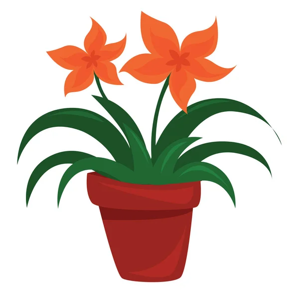 Flor Naranja Una Maceta Ilustración Vector Sobre Fondo Blanco — Vector de stock