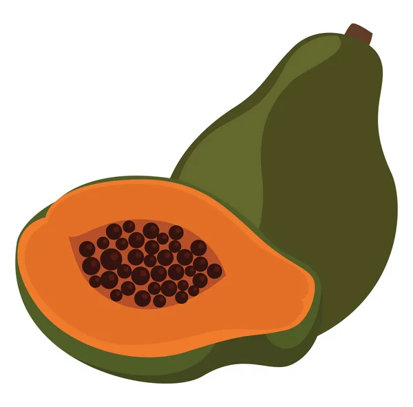 Szép Papaya Illusztráció Vektor Fehér Háttér — Stock Vector
