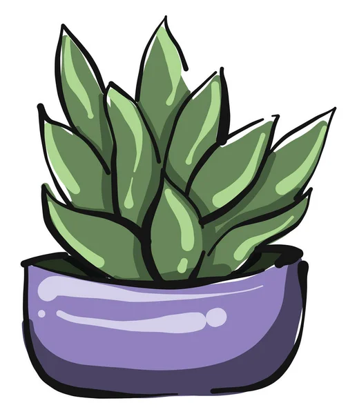紫色壶中的植物 白色背景上的载体 — 图库矢量图片