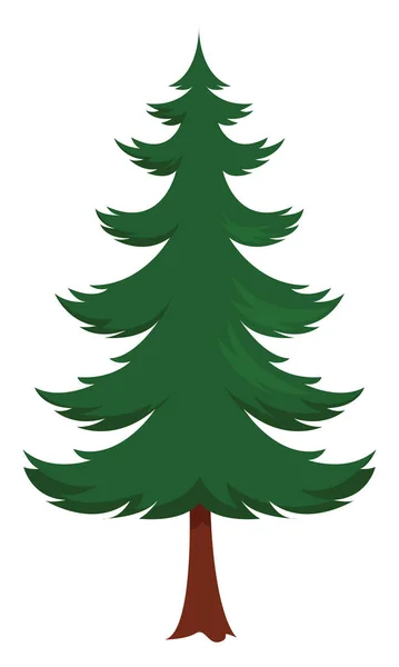 Tall Spruce Illustration Vector White Background — Stock Vector