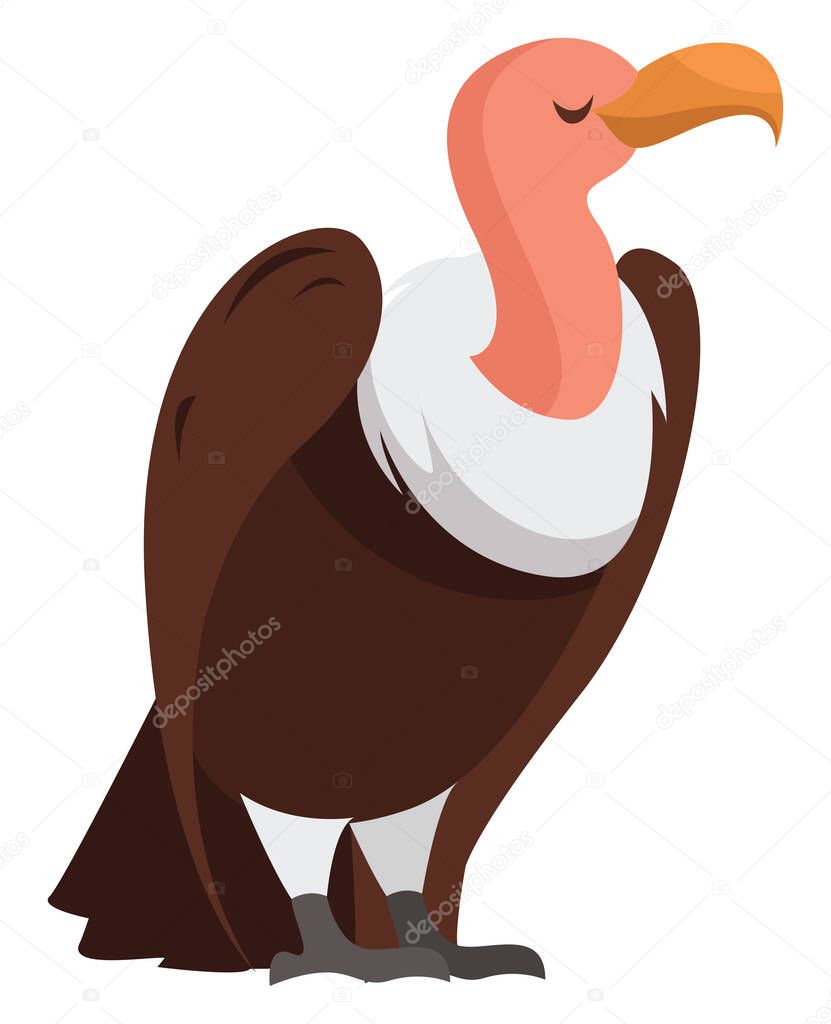 Brown vulture, illustration, vector on white background