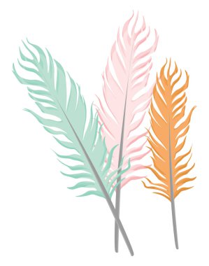 Güzel tüyler, illüstrasyon, beyaz arkaplanda vektör