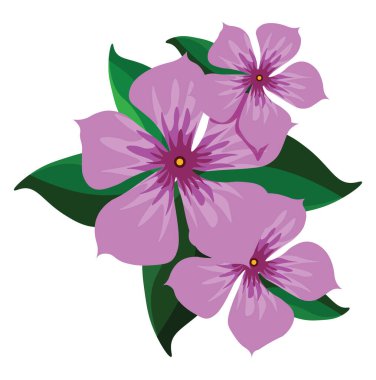 Mor çiçekler, illüstrasyon, beyaz arkaplanda vektör