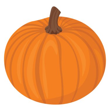 Büyük balkabağı, illüstrasyon, beyaz arkaplan vektörü