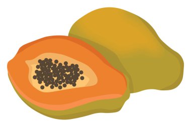 Taze papaya, illüstrasyon, beyaz arkaplanda vektör