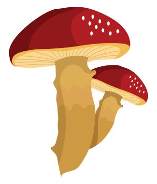 Kırmızı mantarlar, illüstrasyon, beyaz arkaplanda vektör