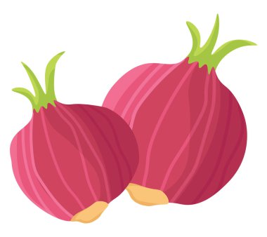 Kırmızı soğan, illüstrasyon, beyaz arkaplanda vektör