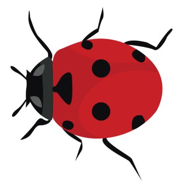 Şirin uğur böceği, illüstrasyon, beyaz arkaplanda vektör